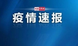 藁城爆料最新新闻头条网,揭秘藁城爆料网头条焦点事件